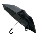 Paragua 8varilla Semi-Auto