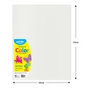 Cartulina 50 X 70cm 100pza POINTER Blanca