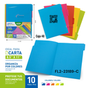 Carpeta de Colores 8.5 X 11" 10pza POINTER